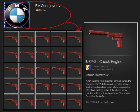 BMW enjoyer Germany USP-S Check Engine Counter-Strike 2 Mil-Spec Grade Pistol Exterior: Minimal Wear A fan favorite from Counter-Strike Source, the Silenced USP Pistol has a detachable silencer that g