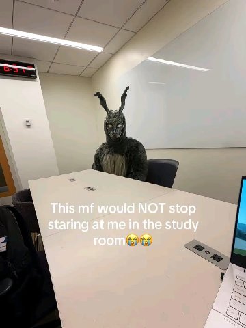 This МОТ stop staring the study