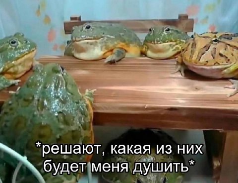 я: *очень хочу купить эту вещь* 
жабы: