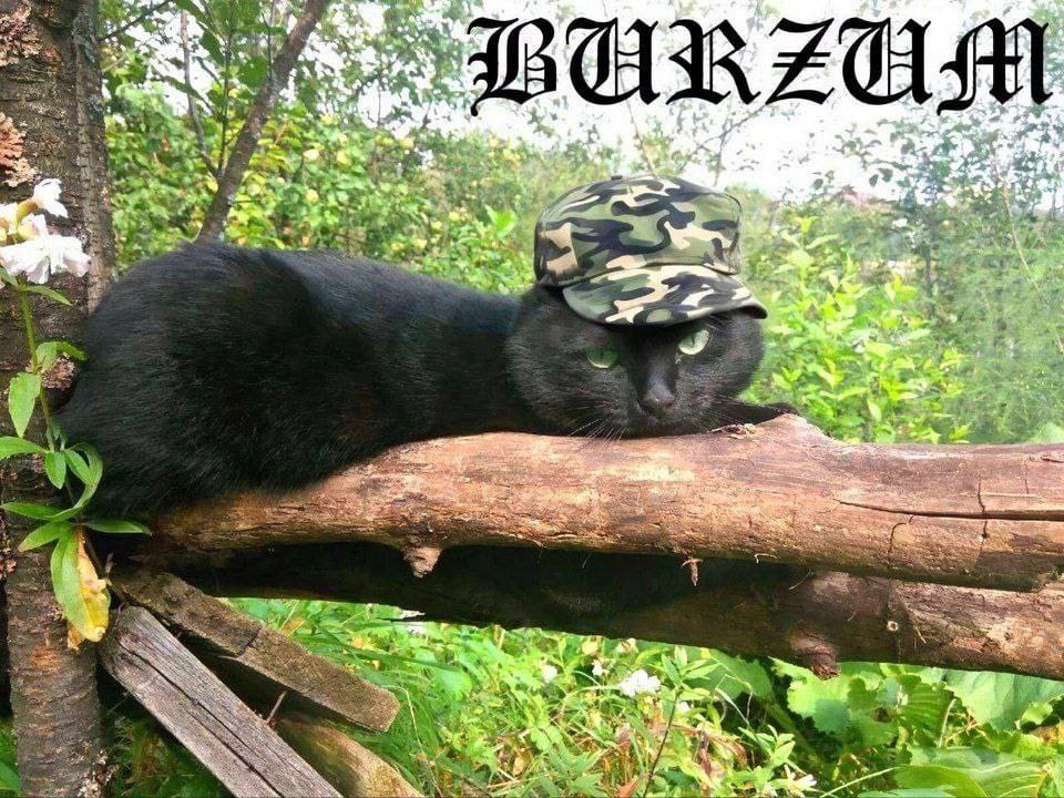 7 А; 7 Я 4 4 2 a a a 2 у к в FNS а, 4 у Ley У. у 1 AS и к 5