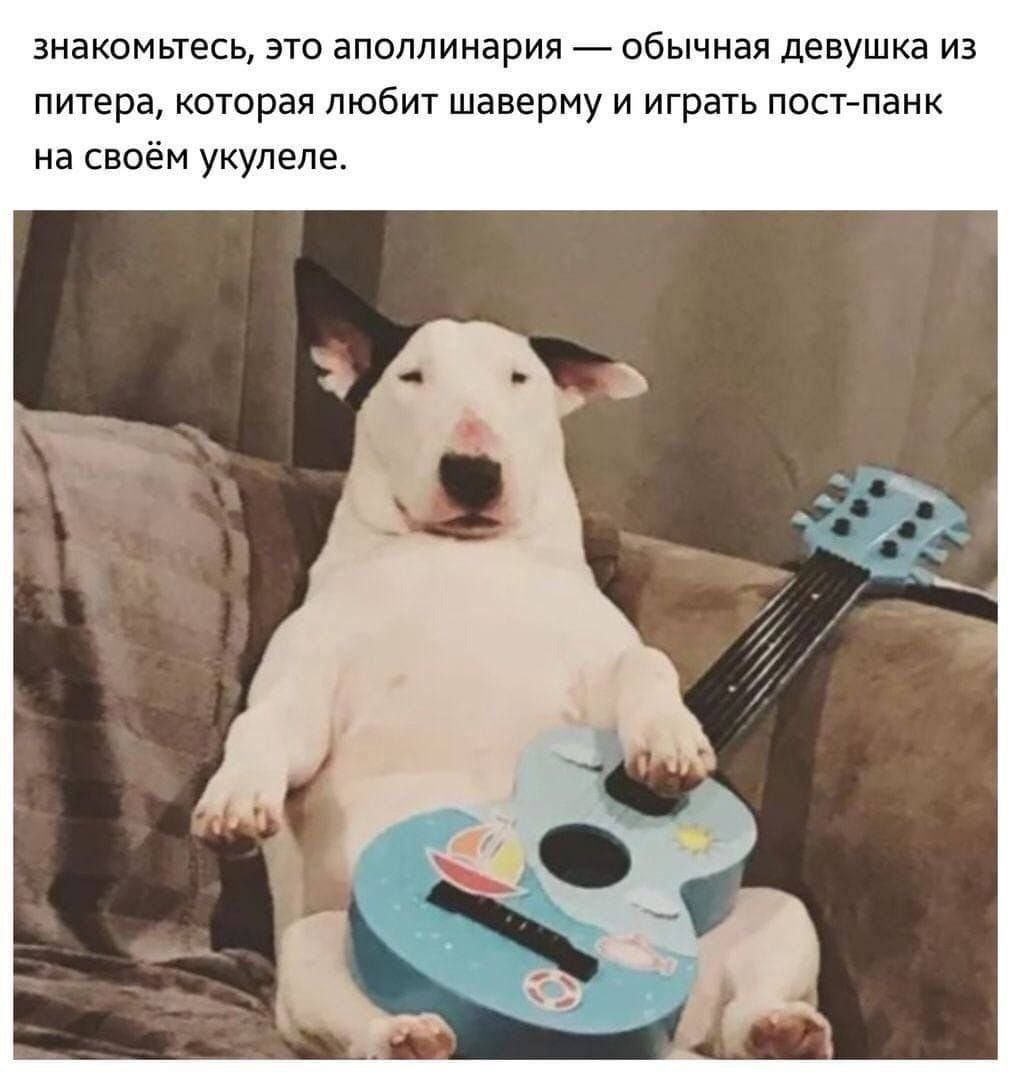 знакомьтесь, это аполлинария обычная девушка из питера, которая любит шаверму и играть пост-панк на своём укулеле.