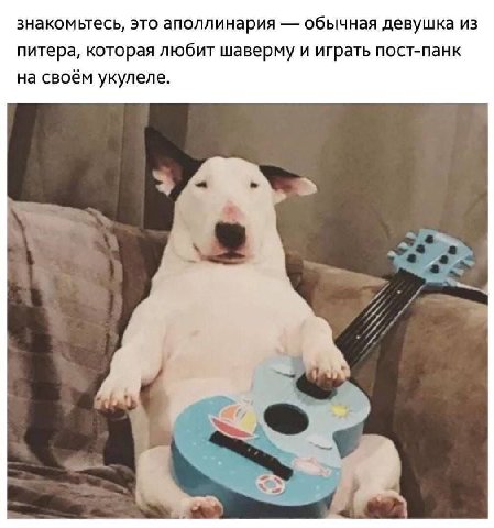 знакомьтесь, это аполлинария обычная девушка из питера, которая любит шаверму и играть пост-панк на своём укулеле.