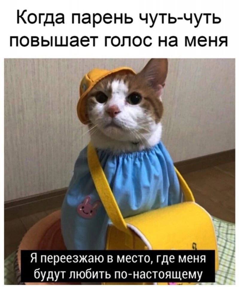 Когда парень чуть-чуть повышает голос на меня Я переезжаю в место, где меня будут любить по-настоящему