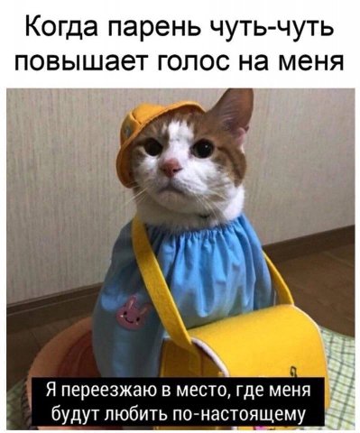 Когда парень чуть-чуть повышает голос на меня Я переезжаю в место, где меня будут любить по-настоящему