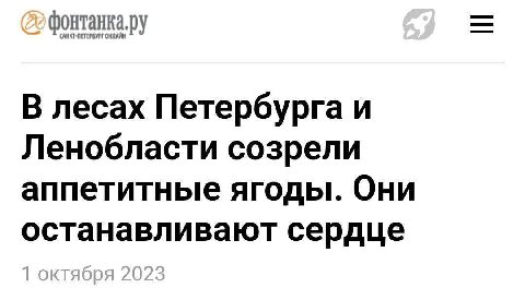 В лесах Петербурга и Ленобласти созрели аппетитные ягоды. Они останавливают сердце