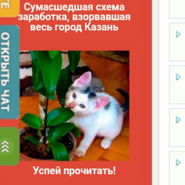 Сумасшедшая схема заработка, взорвавшая весь город Казань Успей прочитать!