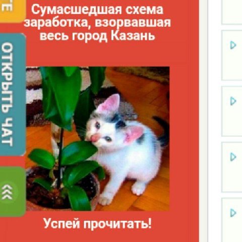 Сумасшедшая схема заработка, взорвавшая весь город Казань Успей прочитать!