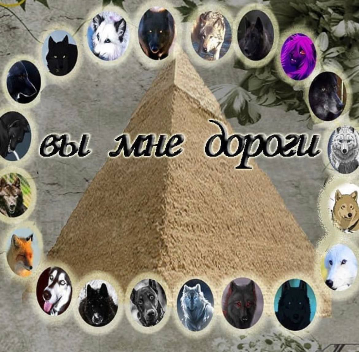 3 Я avg у 4a у 4 вы мне 4 4 5 у 3 4 у а^. a 377