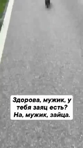 Здорова, мужик, у | тебя заяц есть? ы На, мужик, зайца.