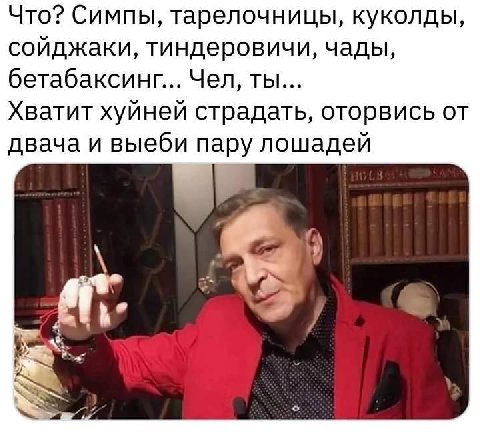 Что? Симпы, тарелочницы, куколды, сойджаки, тиндеровичи, чады, бетабаксинг... Чел, ты... Хватит хуйней страдать, оторвись от двача и выеби пару лошадей