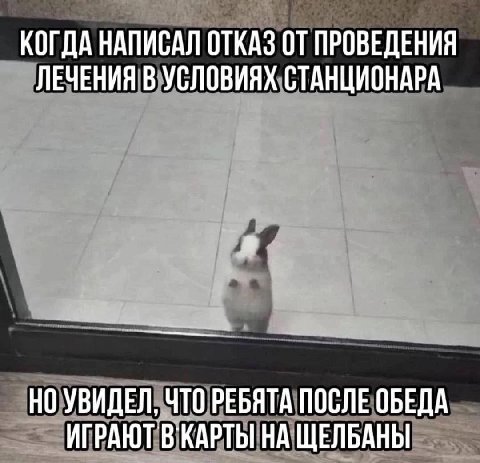 КОГДА НАПИСАЛ ОТКАЗ ОТ ПРОВЕДЕНИЯ ЛЕЧЕНИЯ В УСЛОВИЯХ СТАНЦИОНАРА bine НО УВИДЕЛ, ЧТО РЕБЯТА ПОСЛЕ ОБЕДА ИГРАЮТ ЩЕЛБАНЫ