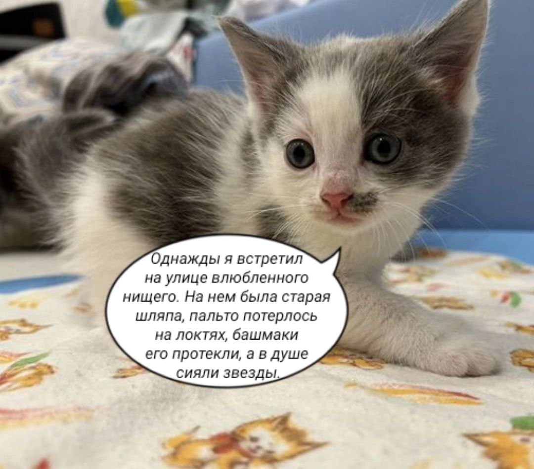 Однажды я встретил на улице влюбленного нищего. На нем была старая шляпа, пальто потерлось на локтях, башмаки его протекли, а в душе сияли звезды,