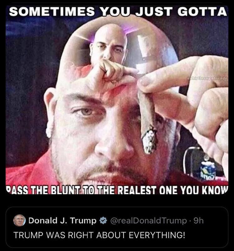 SOMETIMES YOU JUST GOTTA OASS THE BLUNT REALEST ONE YOU KNOW Trump WAS RIGHT ABOUT EVERYTHING!