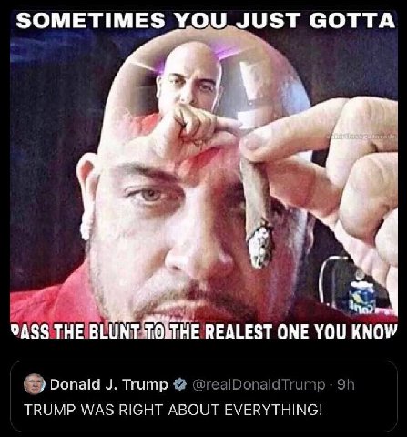SOMETIMES YOU JUST GOTTA OASS THE BLUNT REALEST ONE YOU KNOW Trump WAS RIGHT ABOUT EVERYTHING!