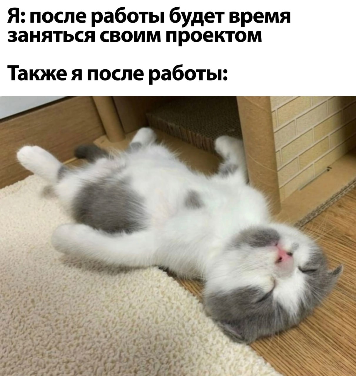 Я: после работы будет время заняться своим проектом Также я после работы: