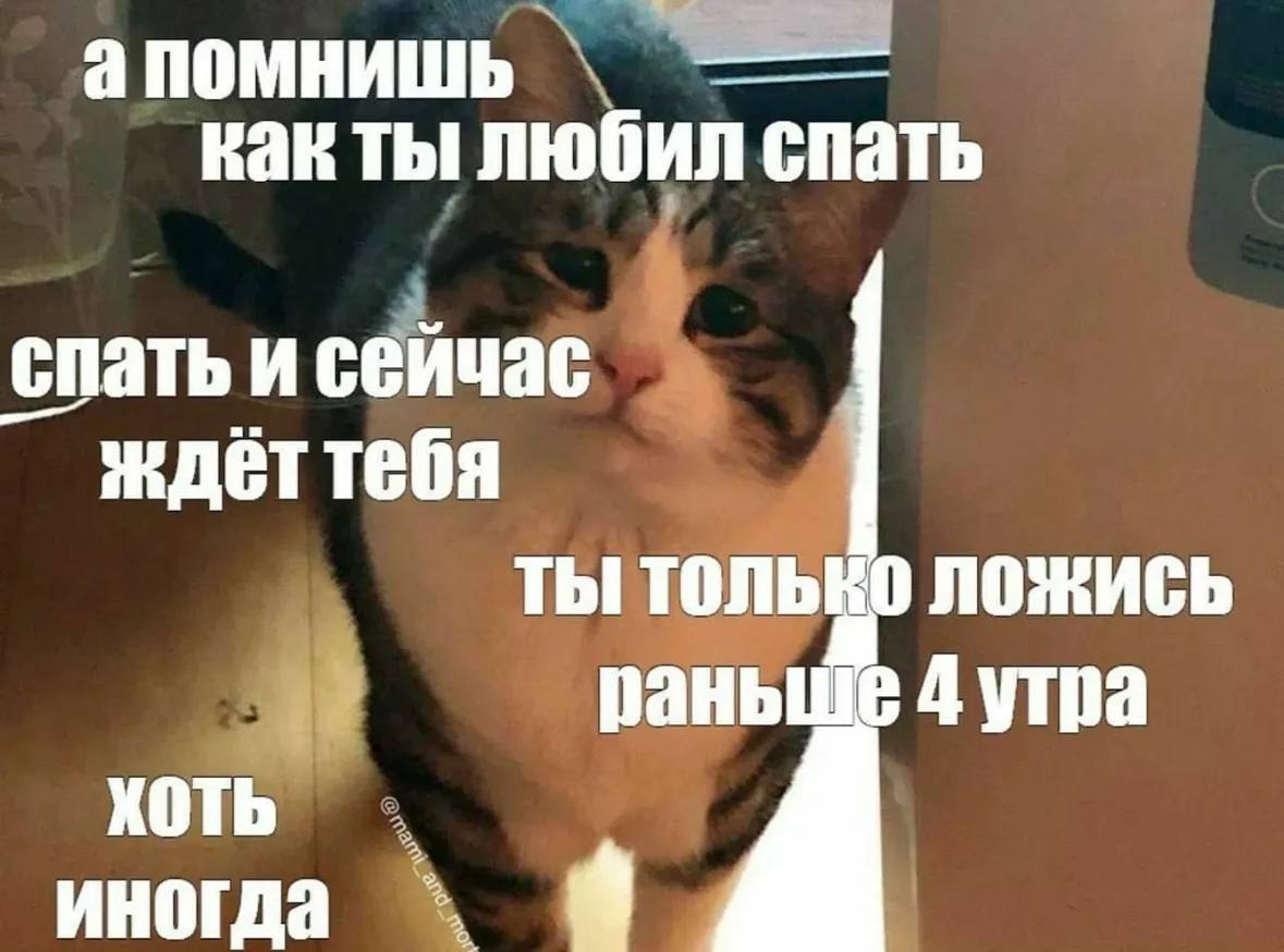 апомнишь как ты любил спать i спать и сейчас ждеттебя ты только ложись раньше 4 утра иногда