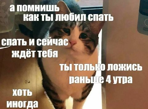 апомнишь как ты любил спать i спать и сейчас ждеттебя ты только ложись раньше 4 утра иногда