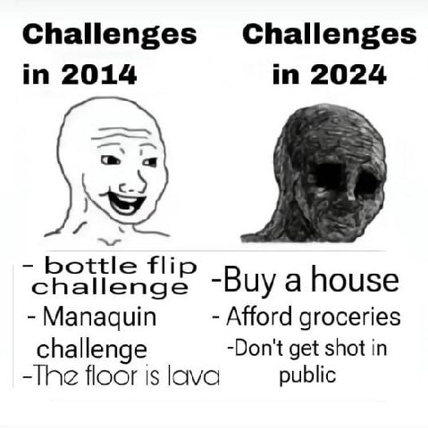 Challenges Challenges in 2014 in 2024 a bottle flip challenge -Buy a house Manaquin Afford groceries challenge -Don't get shot in -The floor is lava public