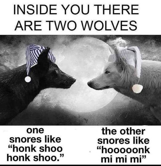 INSIDE YOU THERE ARE TWO опе the other snores like snores like “honk shoo “hooooonk honk shoo.”