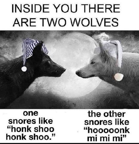 INSIDE YOU THERE ARE TWO опе the other snores like snores like “honk shoo “hooooonk honk shoo.”