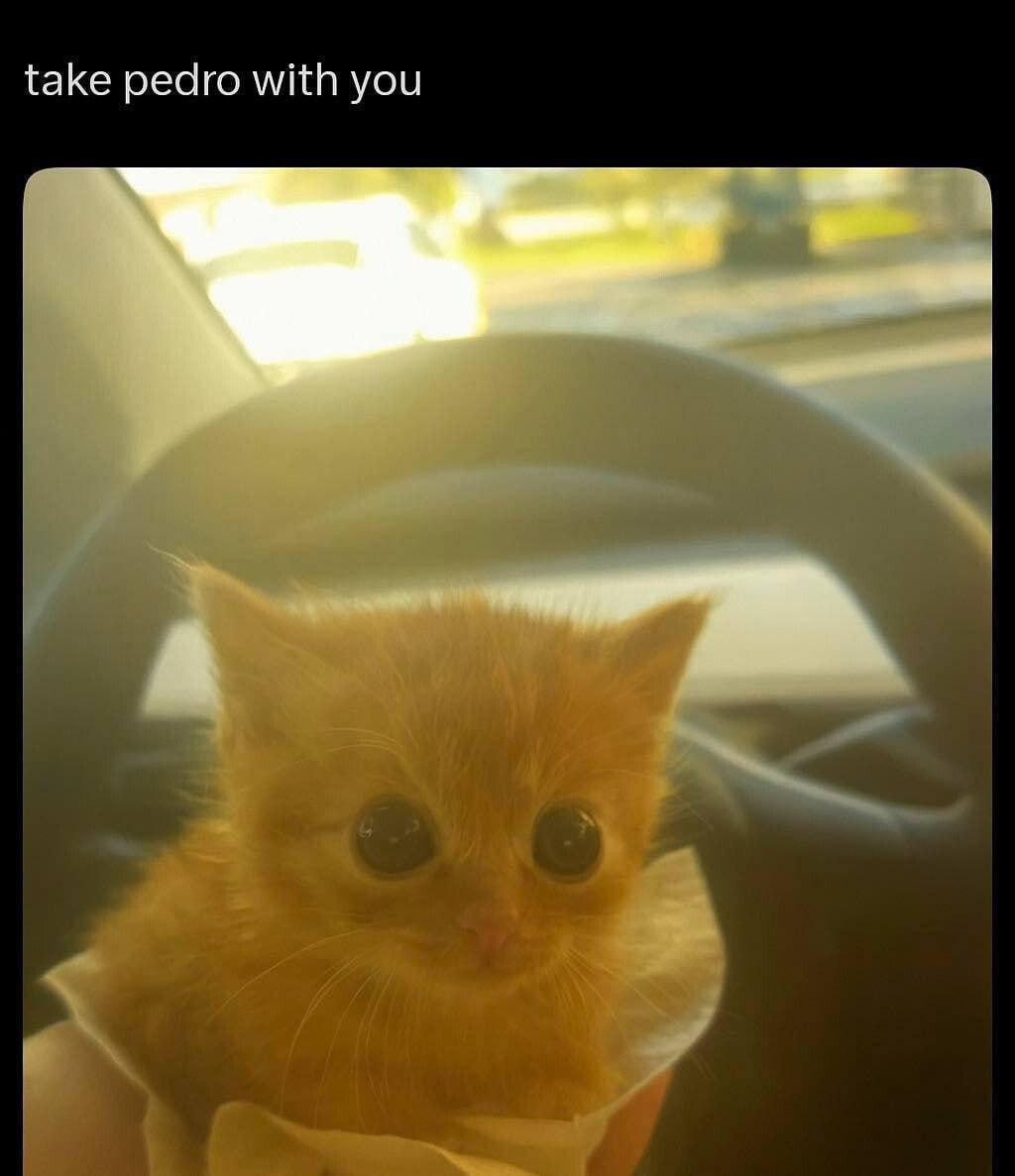 take pedro with you