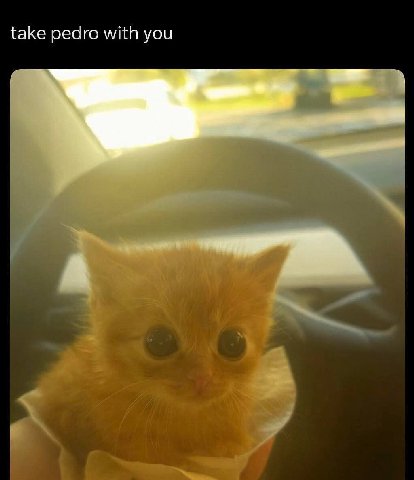 take pedro with you