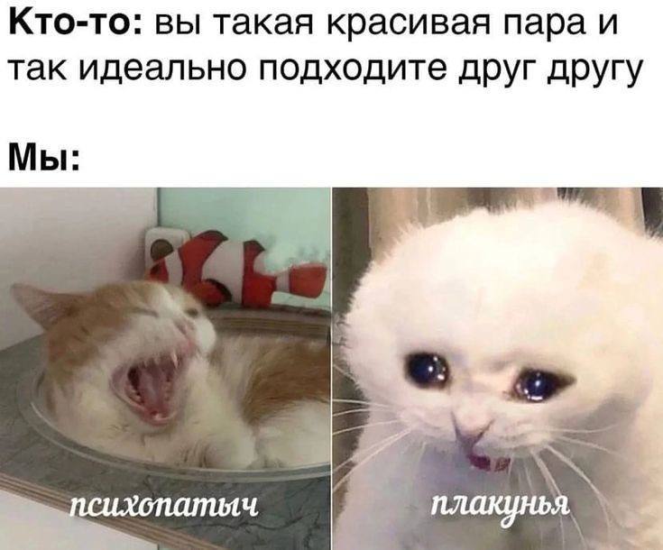 Кто-то: вы такая красивая пара и так идеально подходите друг другу Мы: плакунья