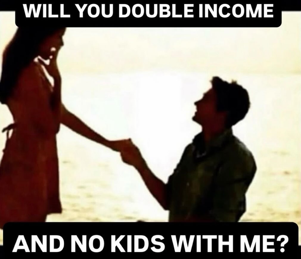 WILL YOU DOUBLE INCOME AND NO KIDS WITH ME?