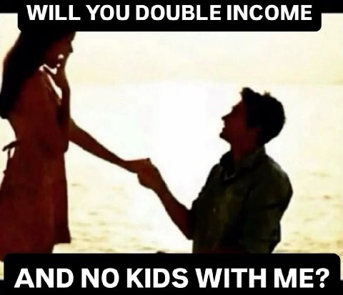 WILL YOU DOUBLE INCOME AND NO KIDS WITH ME?