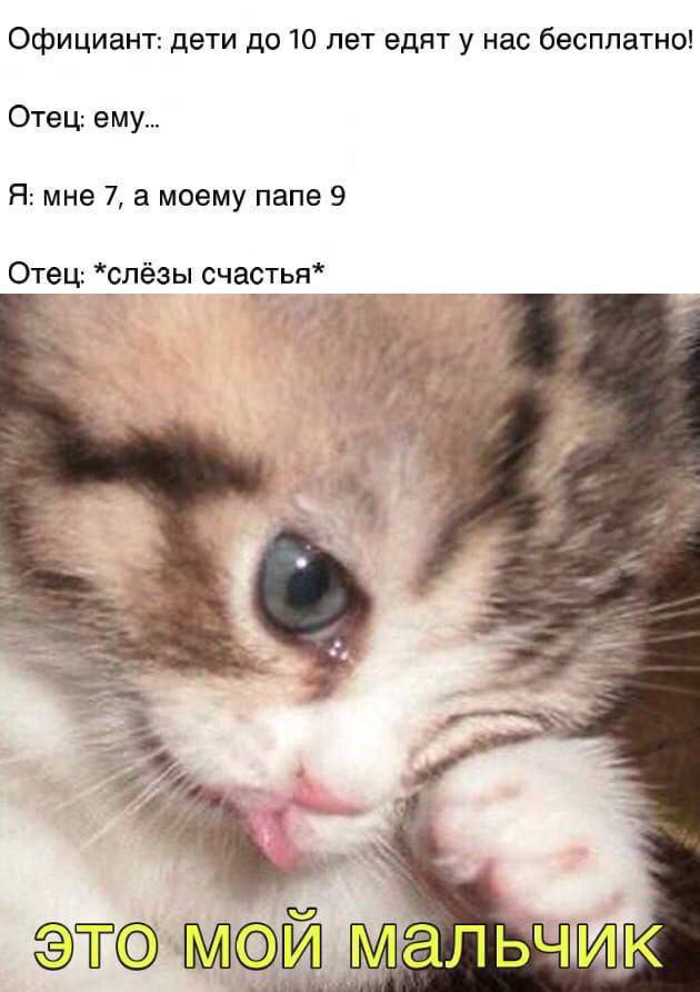 Официант: дети до 10 лет едят у нас бесплатно! Отец: ему... Я: мне 7, а моему папе 9 *слёзы OVO альч