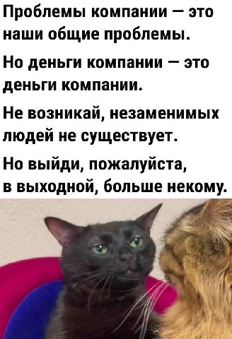 Проблемы компании это наши общие проблемы. Но деньги компании это деньги компании. Не возникай, незаменимых людей не существует. Но выйди, пожалуйста, в выходной, больше некому. 7 4