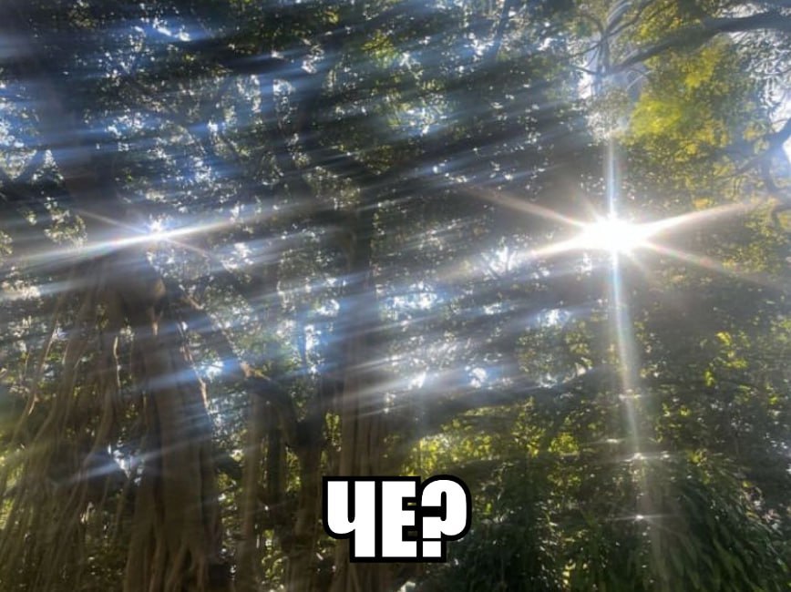 a 2 2? an у we an и у 7 у с a у А у и 4 a 7