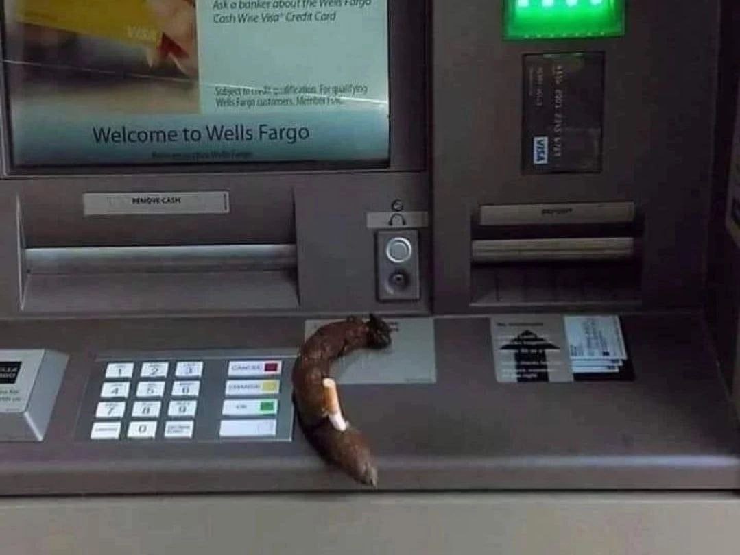 7 Welcome ‚о Fal В a