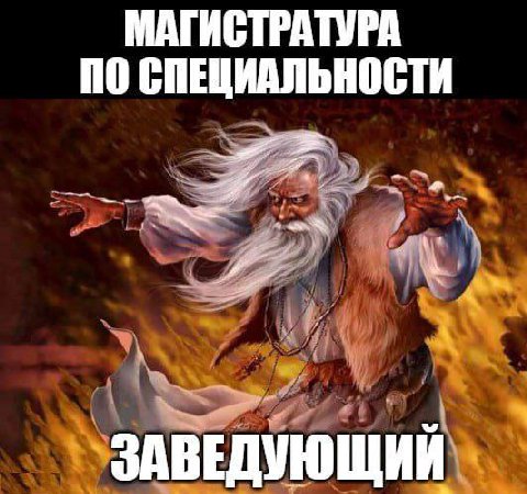 МАГИСТРАТУРА ПО СПЕЦИАЛЬНОСТИ ЗАВЕДУЮЩИЙ