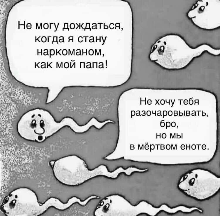 Не могу дождаться, когда я стану наркоманом, как мой папа! Не хочу тебя разочаровывать, мы в мёртвом еноте.