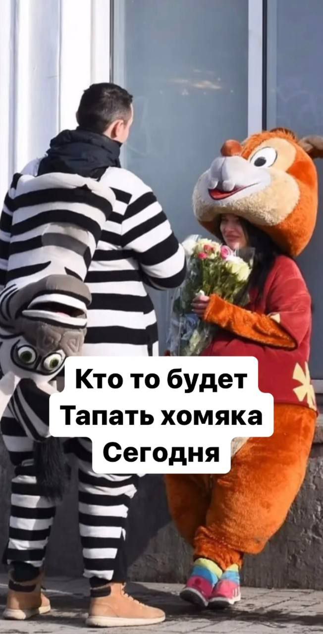 4 Кто то будет Тапать хомяка Сегодня