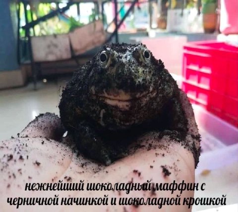 4 4a и a A= 4 A черничной начинкой и шоволадной крошкой