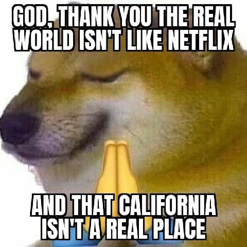 YOU THE REAL LIKE NETFLIX