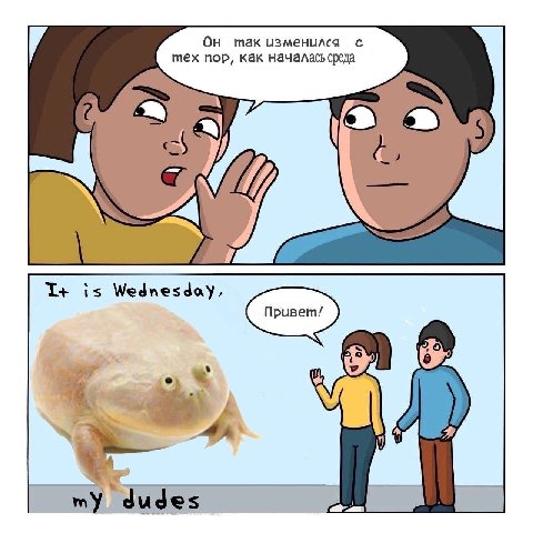 mak изменился с тех nop, как началась среда i 1+ is Wednesday, my dudes