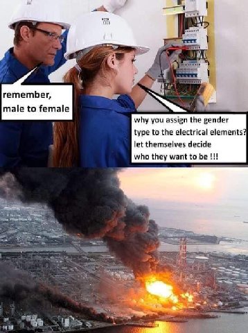 remember, male to female why you assign the gender type to the electrical elements tet themselves decide who they want to be