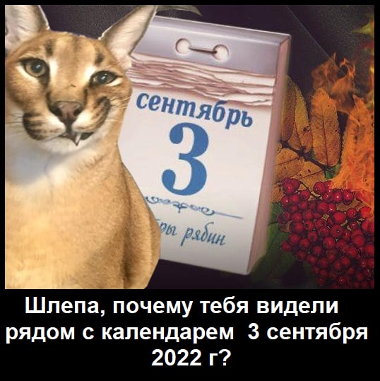 Шлепа, почему тебя видели рядом с календарем 3 сентября 2022