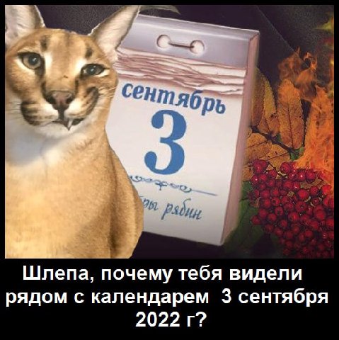 Шлепа, почему тебя видели рядом с календарем 3 сентября 2022