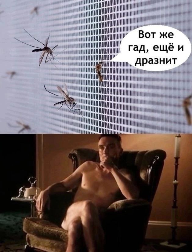 Вот же гад, ещё гад, еще и 4 дразнит ene.