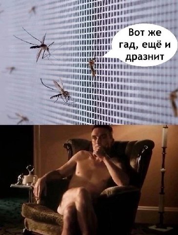 Вот же гад, ещё гад, еще и 4 дразнит ene.