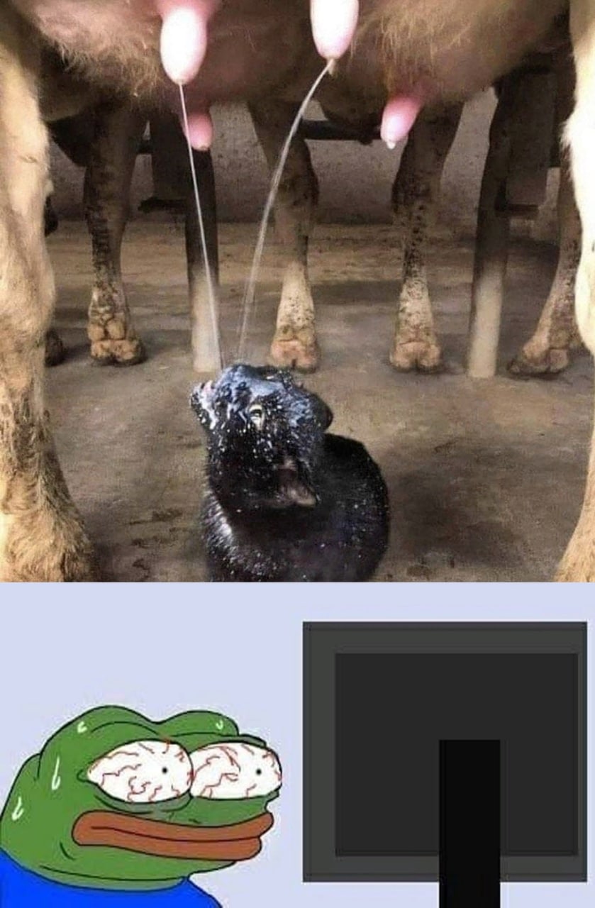 В Bas