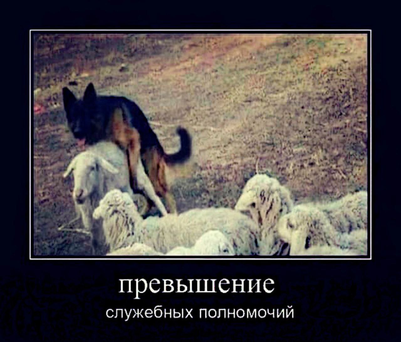 Мем для олдов