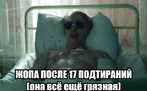 =((( всем влажной туалетной бумаги (и качественного влажного корма)