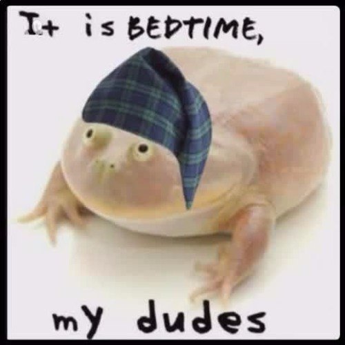 is BEDTIME, dudes