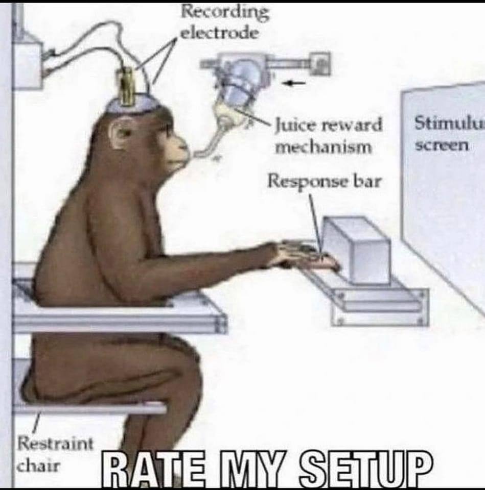 Recording electrode Juice reward mechanism screen Response bar