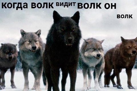когда волк ВОЛК ОН ВОЛК 4 У. 1